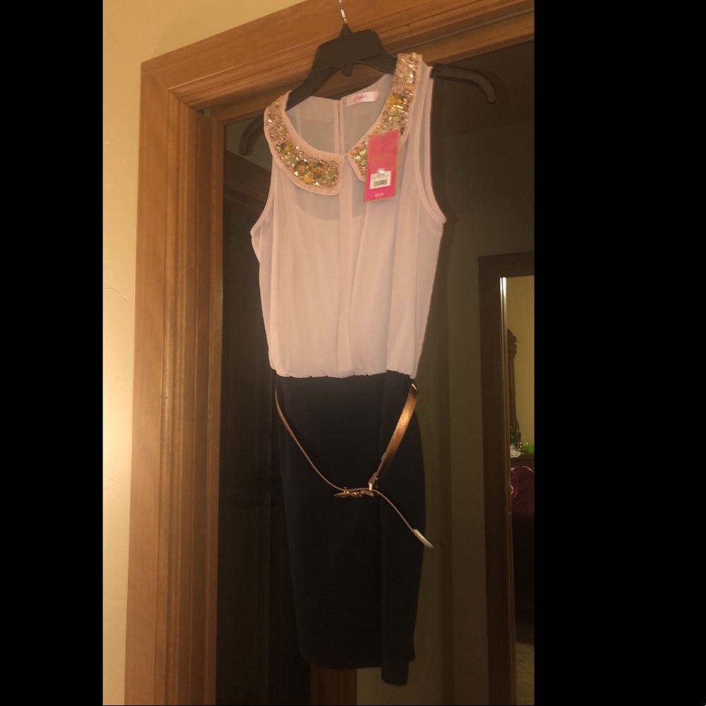 Professional Dress
